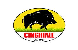 Pennelli Cinghiale